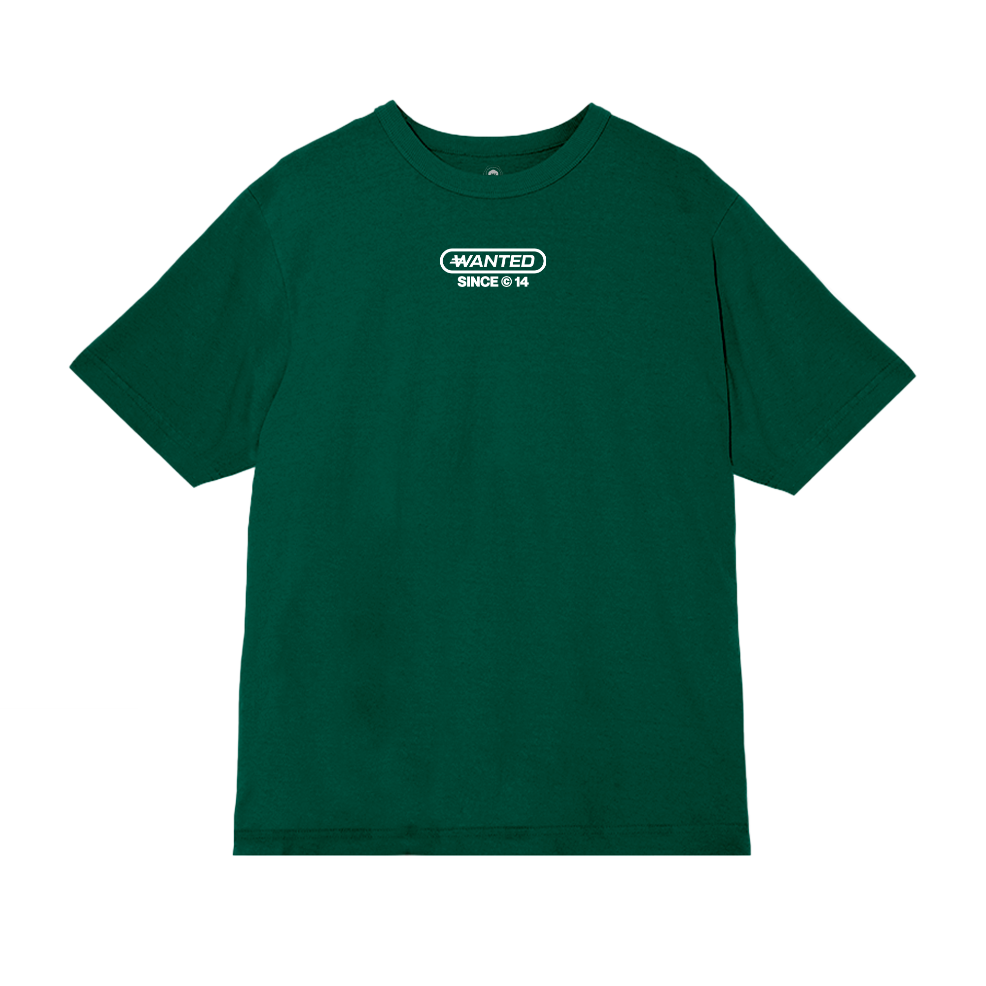 Camiseta Regular Fit - Flow and Remain